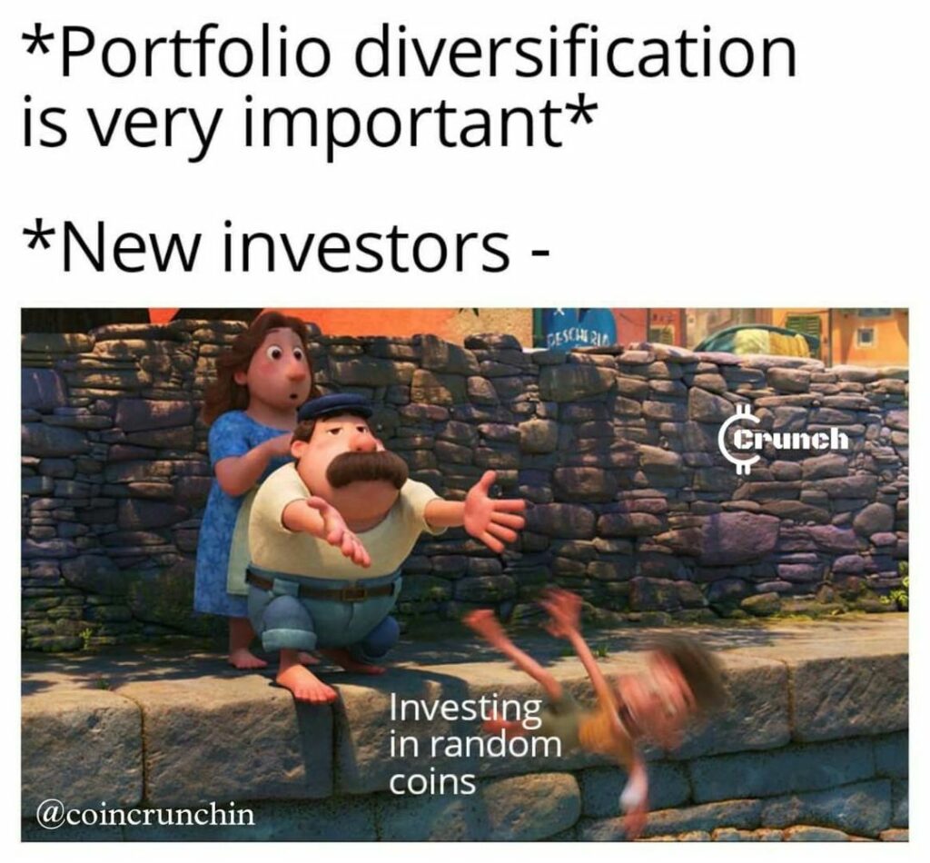 diversification investment meme about new investors